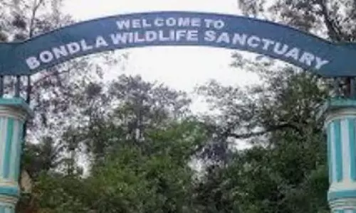 वन मंत्री ने Bondla वन्यजीव अभयारण्य को अस्थायी रूप से बंद करने के बाद जांच के आदेश दिए
