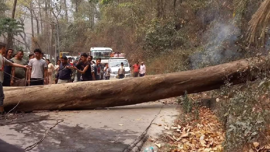 Sikkim : कलिम्पोंग के पास एनएच 10 पर पेड़ गिरने से पर्यटक घायल, यातायात बाधित