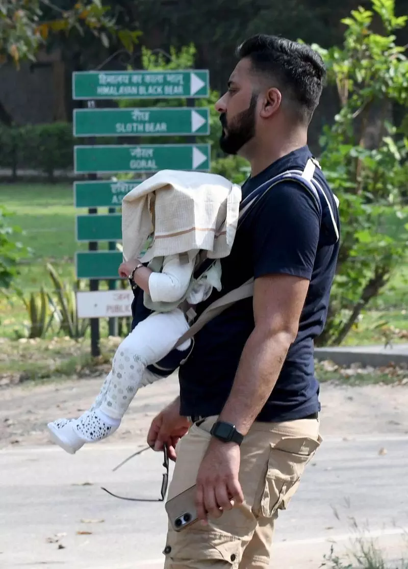 गर्मियों में बिजली की मांग 5,354 मेगावाट तक पहुंची गर्मियों में बिजली की मांग 5,354 मेगावाट तक पहुंची