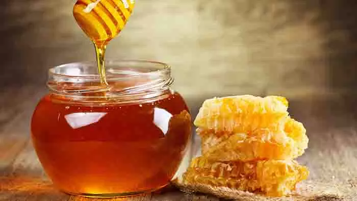 Dry Cough: गर्मियों में सूखी खांसी के लिए घरेलू उपाय, जल्द मिल सकती है राहत Dry Cough: गर्मियों में सूखी खांसी के लिए घरेलू उपाय, जल्द मिल सकती है राहत