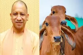 Prayagraj में नंदिनी योजना से किसानों को मिला सशक्तिकरण का अवसर Prayagraj में नंदिनी योजना से किसानों को मिला सशक्तिकरण का अवसर