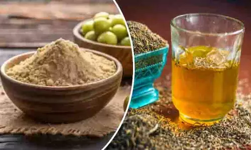 Health: रोज सुबह पिएं सूखे आंवले और जीरे का पानी, शरीर में होंगे ये चमत्कारी बदलाव Health: रोज सुबह पिएं सूखे आंवले और जीरे का पानी, शरीर में होंगे ये चमत्कारी बदलाव