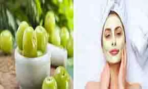 Skin Care: आंवला से घर पर बनाएं फेस टोनर, गर्मियों में भी त्वचा रहेगी ग्लोइंग