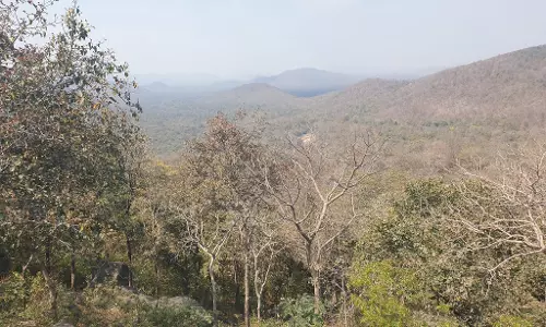 बस्तर के विकास के लिए बनेगा रोड मैप