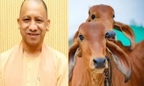 Prayagraj में नंदिनी योजना से किसानों को मिला सशक्तिकरण का अवसर