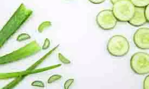 Skin Care: 2 चीजों को मिलाकर बनाएं नेचुरल स्किन टोनर, ग्लो देखकर हैरान रह जाएंगे आप