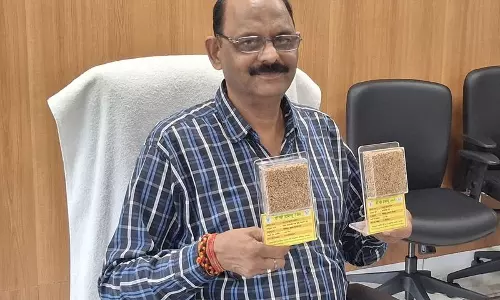 Haryana : गेहूं की 12 नई उच्च उपज वाली किस्में जारी की गईं Haryana : गेहूं की 12 नई उच्च उपज वाली किस्में जारी की गईं