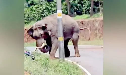 Kerala: कट्टिकुलम-पनविल्ली सड़क पर देखे जाने का डर