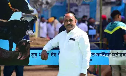 Punjab: डेयरी से लेकर बकरी पालन तक, एक प्रेरणादायक सफलता की कहानी