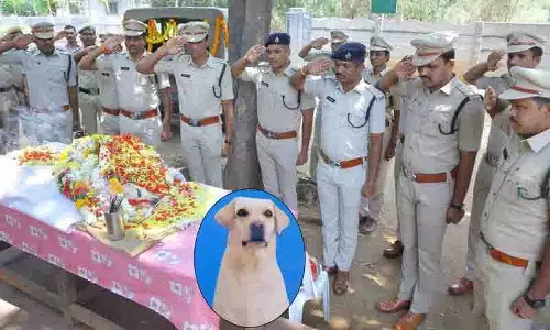 खोजी कुतिया यामी की मौत, Khammam में आधिकारिक सम्मान के साथ अंतिम संस्कार किया खोजी कुतिया यामी की मौत, Khammam में आधिकारिक सम्मान के साथ अंतिम संस्कार किया