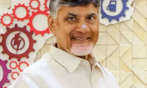 निर्माण कार्य में इतनी देरी क्यों हो रही है : CM Naidu