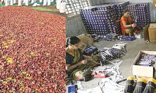 Andhra: अनार के छिलके से महिलाएं बना रहे अगरबत्ती Andhra: अनार के छिलके से महिलाएं बना रहे अगरबत्ती