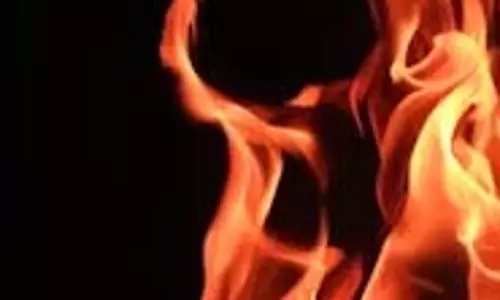 Amravati: आंध्र प्रदेश में बढ़ते तापमान से आग की घटनाएं बढ़ीं