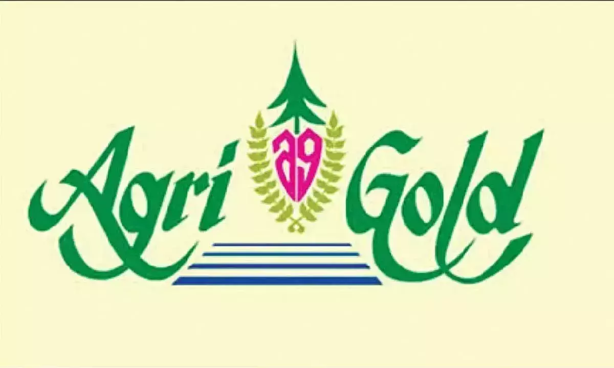 Andhra: एग्रीगोल्ड संपत्तियों की नीलामी के लिए राज्य स्तरीय पैनल का गठन Andhra: एग्रीगोल्ड संपत्तियों की नीलामी के लिए राज्य स्तरीय पैनल का गठन
