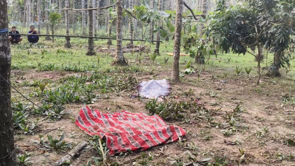 Assam-अरुणाचल सीमा के पास मानव-हाथी संघर्ष में बुजुर्ग महिला की मौत