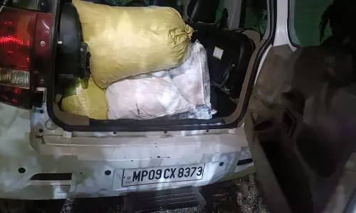 MP: वन विभाग ने चोरल रेंज में बोलेरो में ले जाई जा रही 180 किलो अवैध राल जब्त की