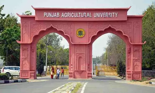 Ludhiana: गर्मी के प्रभाव को कम करने के लिए फसल, पशुधन प्रबंधन की सलाह दी