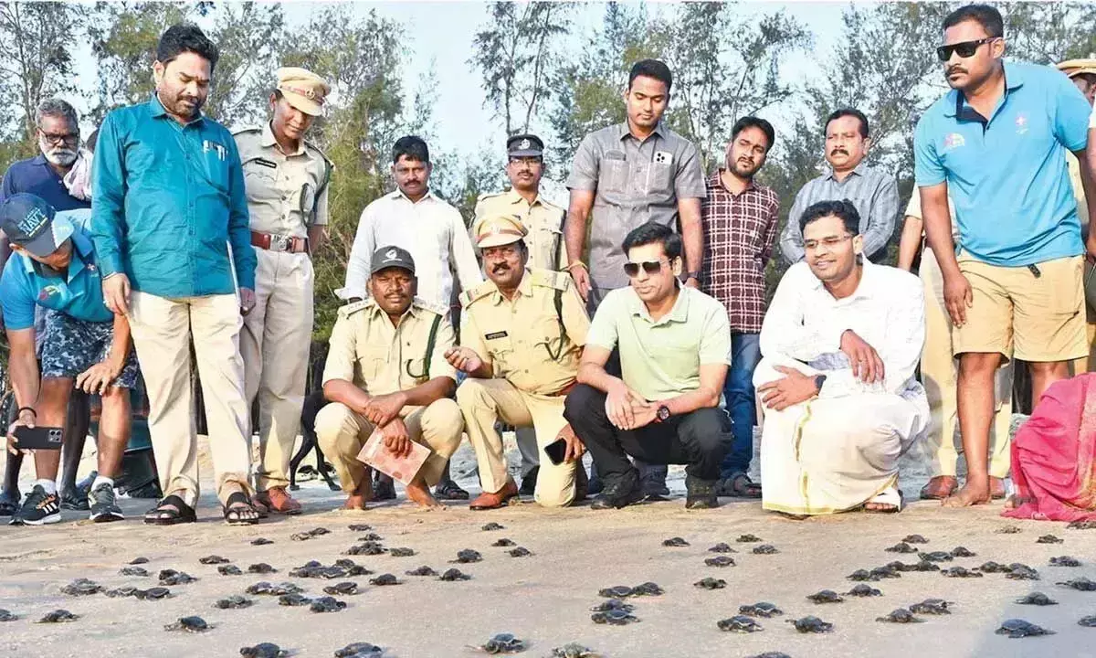 Tirupati में ओलिव रिडले कछुओं के संरक्षण के लिए बड़ा अभियान शुरू किया गया