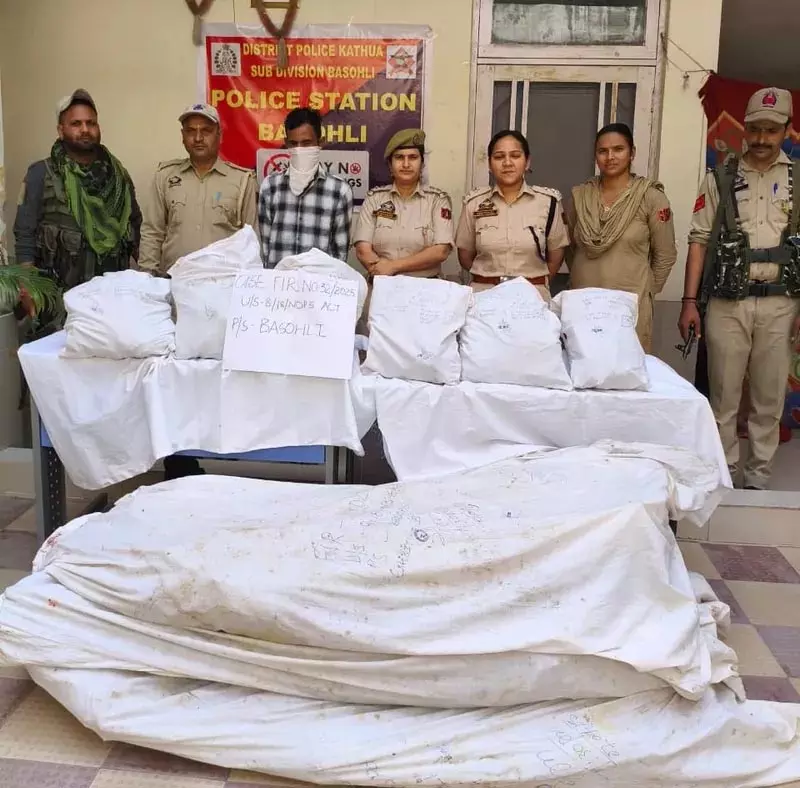 कठुआ में 126 किलोग्राम से अधिक अफीम के पौधे जब्त, एक गिरफ्तार कठुआ में 126 किलोग्राम से अधिक अफीम के पौधे जब्त, एक गिरफ्तार