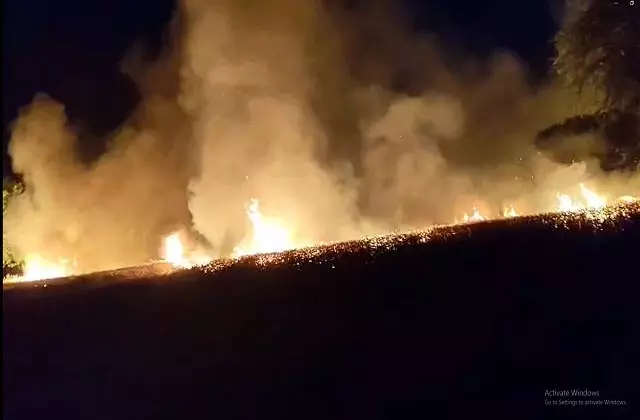 Haryana: गेहूं की फसल में आग ने मचाई तबाही, टूटे किसानों के सपने Haryana: गेहूं की फसल में आग ने मचाई तबाही, टूटे किसानों के सपने