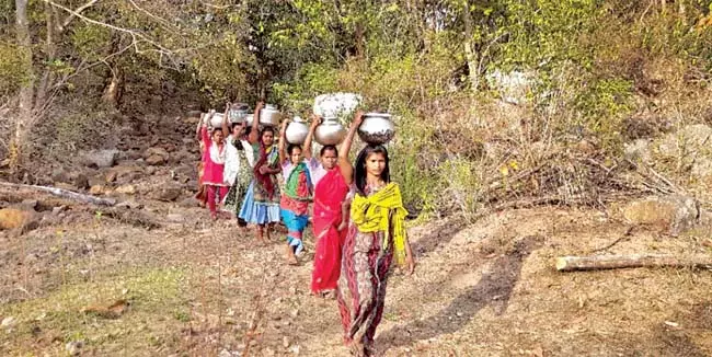 Odisha: जिले के गुनुपुरम महकमा में पानी की किल्लत गहरा गई Odisha: जिले के गुनुपुरम महकमा में पानी की किल्लत गहरा गई