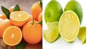 Health: गर्मियों में शरीर को अंदर से ठंडा रखेंगे ये फूड्स Health: गर्मियों में शरीर को अंदर से ठंडा रखेंगे ये फूड्स