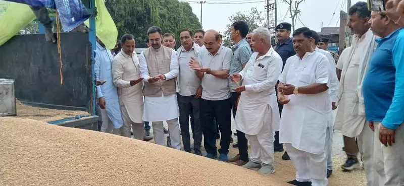 Haryana विधानसभा अध्यक्ष ने घरौंडा अनाज मंडी का निरीक्षण किया Haryana विधानसभा अध्यक्ष ने घरौंडा अनाज मंडी का निरीक्षण किया
