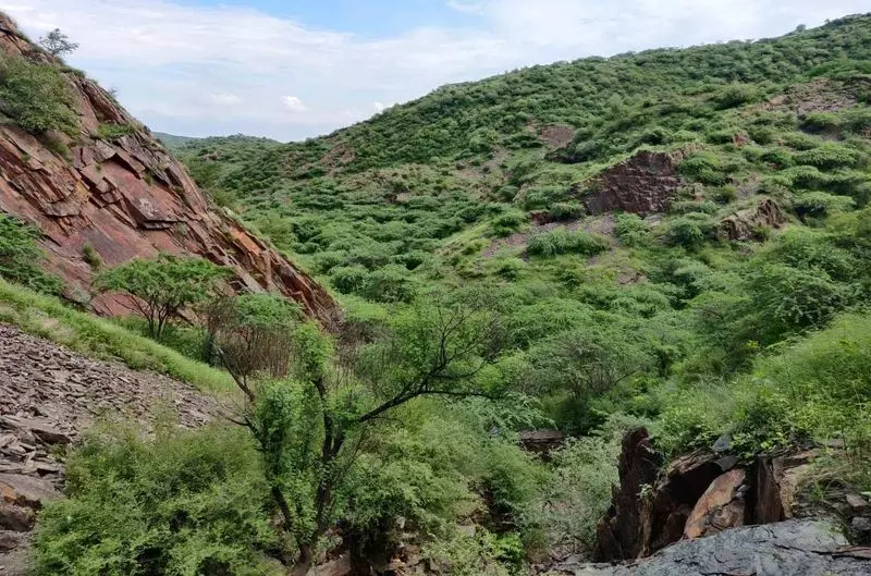 Haryana : ग्रेट निकोबार स्वैप संरक्षित वनों में हरियाणा की खनन योजना चिंता का विषय Haryana : ग्रेट निकोबार स्वैप संरक्षित वनों में हरियाणा की खनन योजना चिंता का विषय