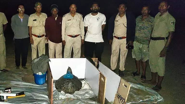 Odisha: दो ओलिव रिडली ने एक महीने में श्रीलंका तक 1,000 किमी की यात्रा की Odisha: दो ओलिव रिडली ने एक महीने में श्रीलंका तक 1,000 किमी की यात्रा की