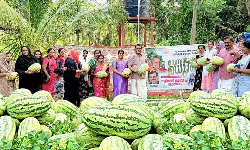 Kerala: कुदुम्बश्री गर्मियों में तरबूज के साथ मिठास लाता Kerala: कुदुम्बश्री गर्मियों में तरबूज के साथ मिठास लाता