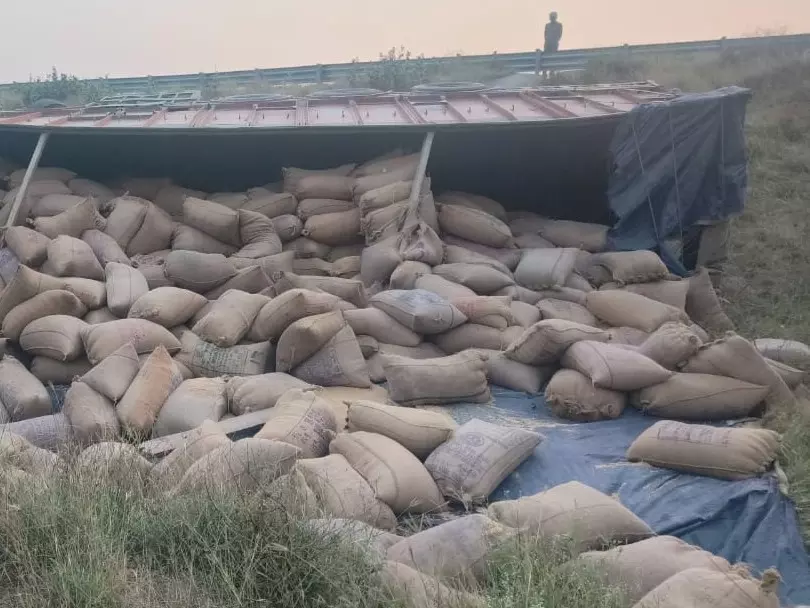 Jalaun: तेज़ रफ्तार ट्रक खाई में समाया, बुंदेलखंड एक्सप्रेसवे पर मचा हड़कंप Jalaun: तेज़ रफ्तार ट्रक खाई में समाया, बुंदेलखंड एक्सप्रेसवे पर मचा हड़कंप