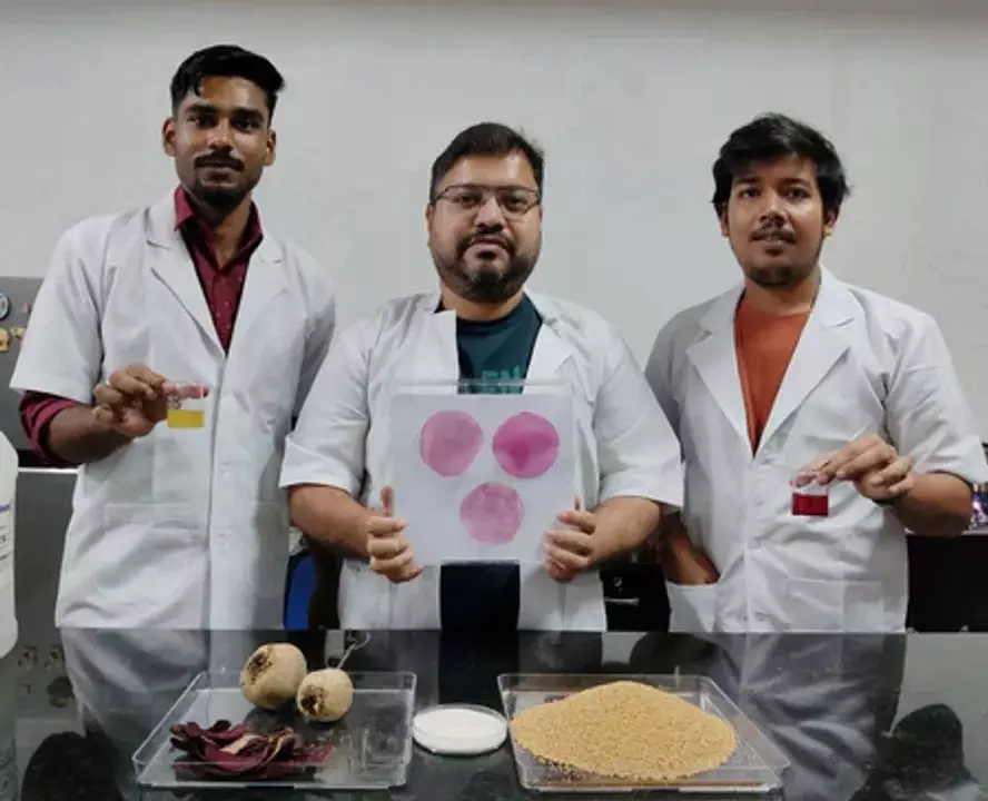 NIT राउरकेला टीम की कोदो बाजरा, चुकंदर के अर्क की पैकेजिंग समुद्री भोजन को ताज़ा रखेगी NIT राउरकेला टीम की कोदो बाजरा, चुकंदर के अर्क की पैकेजिंग समुद्री भोजन को ताज़ा रखेगी