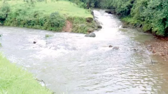 कार्यकर्ताओं का आरोप है कि Mhadei नदी का पानी पीने के पानी के लिए नहीं कार्यकर्ताओं का आरोप है कि Mhadei नदी का पानी पीने के पानी के लिए नहीं