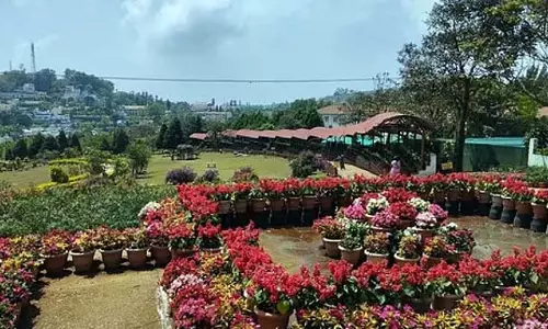 Tamil Nadu: बागवानी विभाग ने यरकौड ग्रीष्मोत्सव पुष्प प्रदर्शनी की तैयारी शुरू कर दी Tamil Nadu: बागवानी विभाग ने यरकौड ग्रीष्मोत्सव पुष्प प्रदर्शनी की तैयारी शुरू कर दी