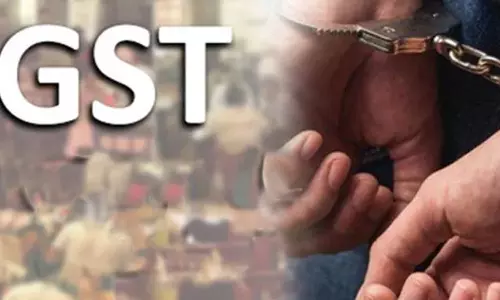 GST चोरी, जांच में पता चली ये चौंकाने वाली बात GST चोरी, जांच में पता चली ये चौंकाने वाली बात