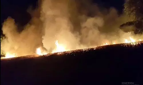 Haryana: गेहूं की फसल में आग ने मचाई तबाही,  टूटे किसानों के सपने
