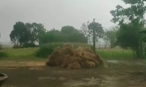 Ballia: तेज आंधी-पानी का कहर, मां-बेटे समेत छह लोग घायल Ballia: तेज आंधी-पानी का कहर, मां-बेटे समेत छह लोग घायल