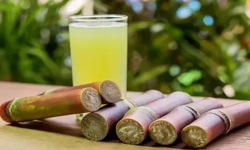 Sugarcane Juice Benefits : वजन कम करने में मददगार है गन्ने का जूस, जानें इसके फायदे Sugarcane Juice Benefits : वजन कम करने में मददगार है गन्ने का जूस, जानें इसके फायदे