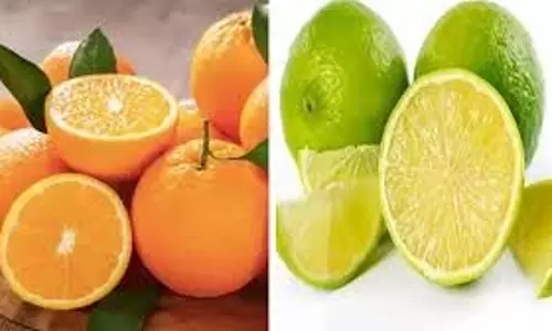 Health: गर्मियों में शरीर को अंदर से ठंडा रखेंगे ये फूड्स Health: गर्मियों में शरीर को अंदर से ठंडा रखेंगे ये फूड्स