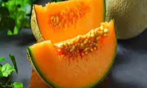 Melon benefits: जानिए गर्मी में खरबूजे के अनगिनत फायदे Melon benefits: जानिए गर्मी में खरबूजे के अनगिनत फायदे