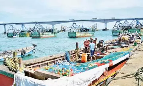 Tamil Nadu: रामनाथपुरम जिले में मछली पकड़ने पर 15 अप्रैल से प्रतिबंध लागू