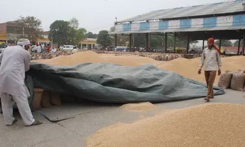 Haryana : गेहूं उठान करनाल में श्रमिक, परिवहन ठेकेदारों को अंतिम रूप दिया गया Haryana : गेहूं उठान करनाल में श्रमिक, परिवहन ठेकेदारों को अंतिम रूप दिया गया