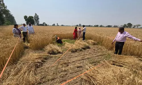 कुरुक्षेत्र प्रशासन ने किसानों को पराली जलाने पर FIR की चेतावनी दी