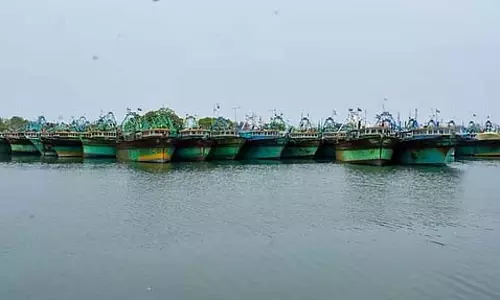 Tamil Nadu: समुद्री क्षेत्र में तेज हवाओं के कारण जिला मत्स्य विभाग की चेतावनी