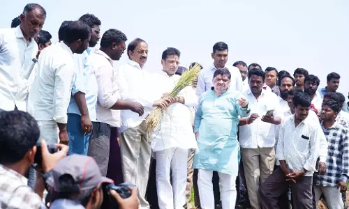 Telangana के 3 मंत्रियों ने सिद्दीपेट में फसल क्षति का आकलन किया