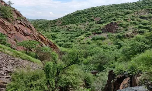 Haryana :  ग्रेट निकोबार स्वैप संरक्षित वनों में हरियाणा की खनन योजना चिंता का विषय