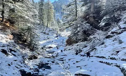 Kishtwar के जंगल में गोलीबारी में आतंकवादी मारा गया, अभियान जारी