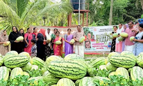 Kerala: कुदुम्बश्री गर्मियों में तरबूज के साथ मिठास लाता