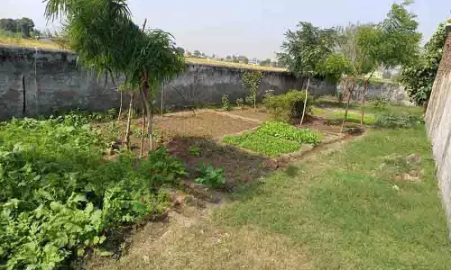 Faridkot प्रशासन ने स्कूलों से नशीली दवाओं की दुकानों का निरीक्षण करने को कहा