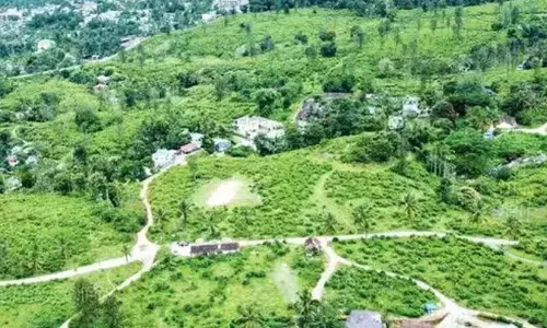 उच्च मुआवजा; एल्स्टन याचिका पर फैसला आज